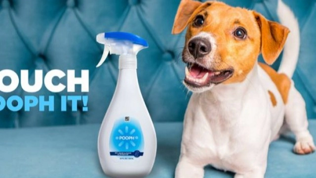 BioLargo sees big jump in 1Q revenue thanks to Pooph pet odor product sales and growing cash pile