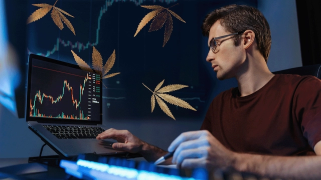 Top US Ancillary Cannabis Stocks: July 2023 Analysis and Investment Opportunities