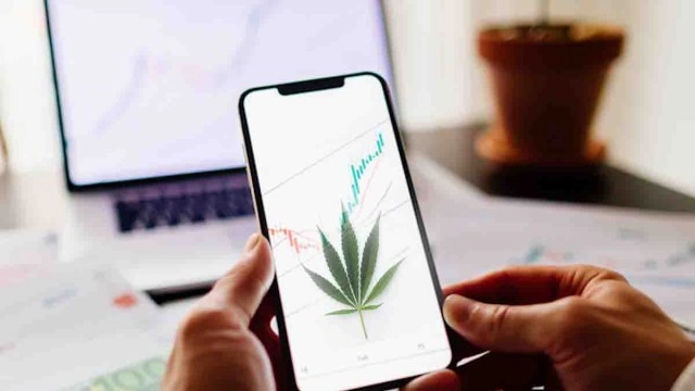 Cannabis REIT Spotlight: Top Picks for September 2023 Investment