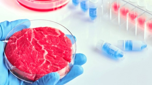 CULT Food Science ‘applauds' USDA's approval of cell-cultivated meat sales in the US