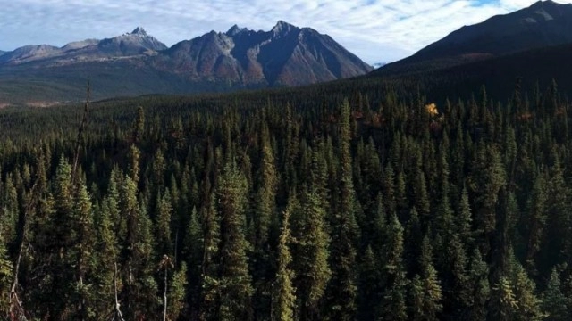 Aben Resources wraps up field work at Slocan graphite project, eyes late fall drill program