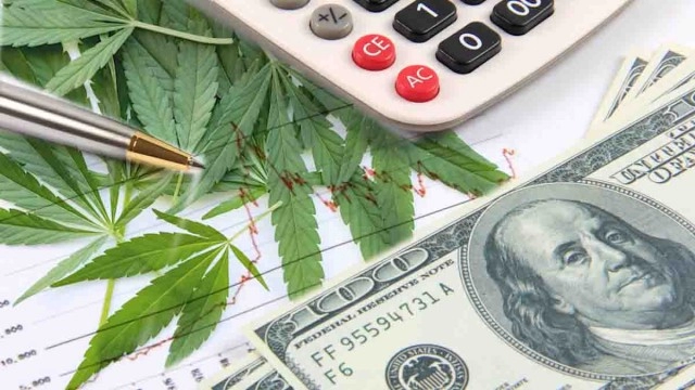 Top US Marijuana Stocks to Watch in August 2023