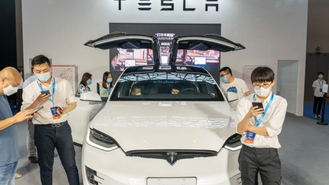 Cathie Wood Keeps Doubling Down on Tesla (TSLA) Stock