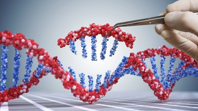 Why CRISPR Therapeutics Stock Is Soaring Today