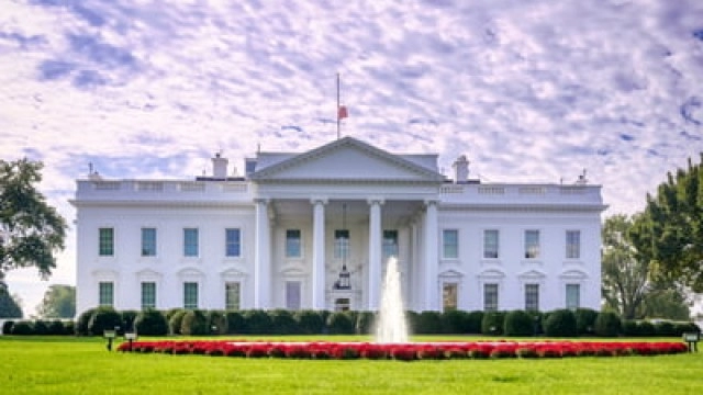 Microsoft, Alphabet, and ChapGPT-Creator OpenAI Summoned to the White House for AI Summit